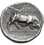 Drachm, Greece (ancient), 307 BC - 305 BC reverse image