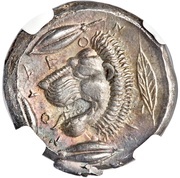 Tetradrachm, Greece (ancient), 430 BC - 425 BC reverse image