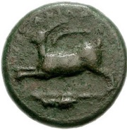 Tetras obverse image