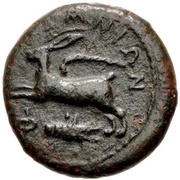 Tetras obverse image