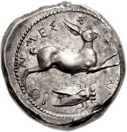 Tetradrachm, Greece (ancient), 425 BC - 421 BC reverse image