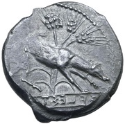Didrachm obverse image