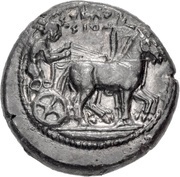 Tetradrachm - The Gamoroi obverse image