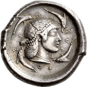 Tetradrachm Deinomenid tyranny, Greece (ancient), 483 BC - 480 BC reverse image