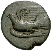 Dichalkon obverse image