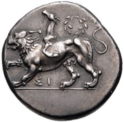 Stater obverse image