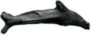 Dolphin obverse image