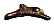 Dolphin obverse image