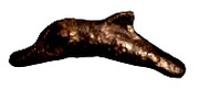 Dolphin, Greece (ancient), 520 BC - 360 BC reverse image
