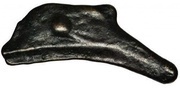 Dolphin obverse image