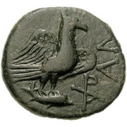 Æ24, Greece (ancient), 69-70 reverse image