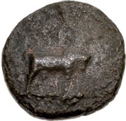 Æ13 reverse image