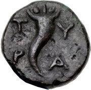 Æ12 reverse image