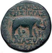 Æ22 reverse image