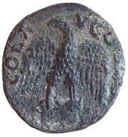 Æ22 Tyche, eagle, Greece (ancient), 200-268 reverse image