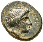 Æ14 obverse image