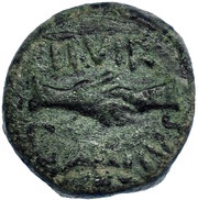 Semis, Iberia (ancient), 42 BC - 1 BC reverse image