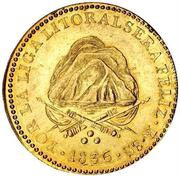 8 Escudos Pattern reverse image