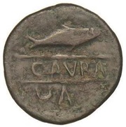 As reverse image