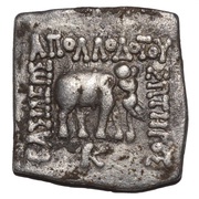 Drachm - Apollodotus I obverse image