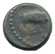 Kshastrap type éléphant obverse image