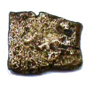 ¼ Karshapana, India (ancient), 340 BC - 181 BC reverse image