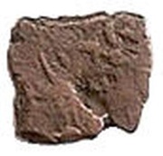 India- Ancient, India (ancient), 340 BC - 181 BC reverse image