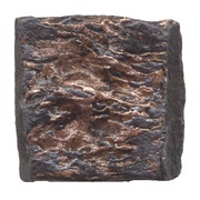 1½ Karshapana Pushyamitra obverse image