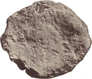 1 As, Italy (ancient), 301 BC - 201 BC reverse image