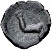 Æ20 reverse image