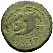 Æ15 reverse image