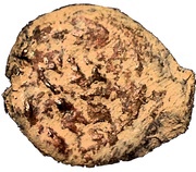 Prutah - Mattatayah Antigonus obverse image