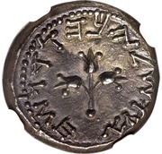 ½ Sheqel Year 2, Judea, 67-68 reverse image