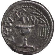 ½ Sheqel Year 4 obverse image