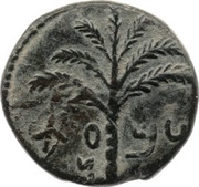 Prutah - Simeon bar Kosevah Year Three obverse image