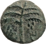 Prutah - Simeon bar Kosevah Year Three obverse image
