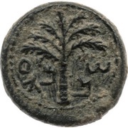 Prutah - Simeon bar Kosevah Year Three obverse image
