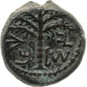 Prutah - Simeon bar Kosevah Year Three obverse image