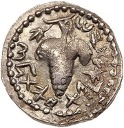 Zuz - Simeon bar Kosevah Year One and Two obverse image