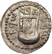 Zuz - Simeon bar Kosevah Year One and Two, Judea, 132-134 reverse image