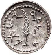 Zuz - Simeon bar Kosevah Year Two, Judea, 133-134 reverse image