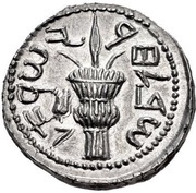 Sela - Simeon bar Kosevah Year Two, Judea, 133-134 reverse image