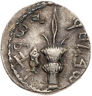 Sela - Simeon bar Kosevah Year Two, Judea, 133-134 reverse image