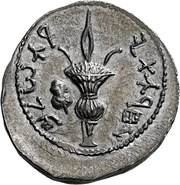 Sela - Simeon bar Kosevah, Judea, 134-135 reverse image