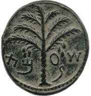 Middle bronze - Simeon bar Kosevah Year Two obverse image