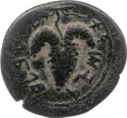 Small bronze - Simeon bar Kosevah Year Two, Judea, 133-134 reverse image