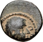 Æ11 - Herod Philip obverse image