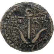 Æ13 - Herod Agrippa II obverse image