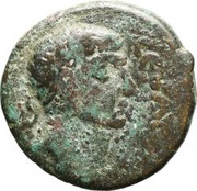 Æ19 - Trajan ΑϹΚ; Ascalon obverse image