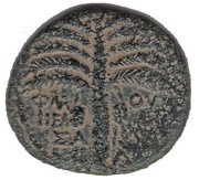 Æ - Domitianus Neapolis reverse image